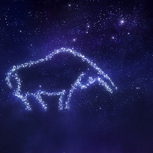 signo compatible con Tauro